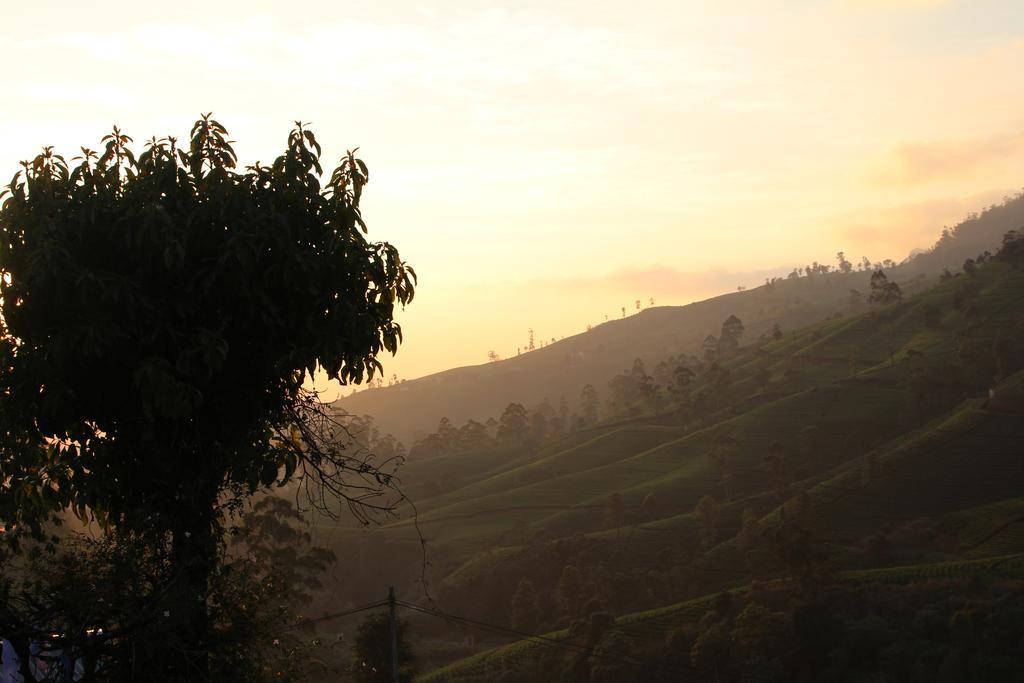 Cool Mount Guest Apartment Nuwara Eliya Exterior photo